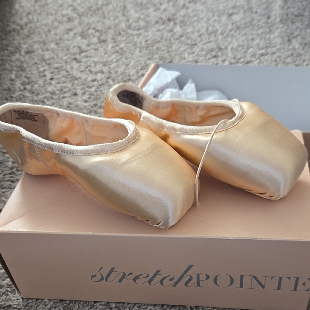 NIB BLOCH POINTE SHOES (Eurostretch)